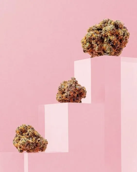 diferencia entre CBD y THC podio