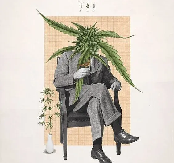 ¿Cual es la diferencia entre CBD y THC?