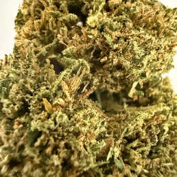 Cogollos Pequeños de Flor Aromática de CBD al - La Cordobesa Critical Kush - ProfesorCBD - WeWeed