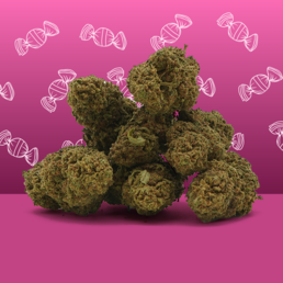 Zkittlez CBD 🍬 [Greenhouse] - Mama Kana - WeWeed