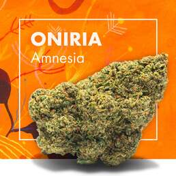 Flores CBD ONIRIA (Amnesia CBD) | CBD INDOOR - Cannactiva - WeWeed