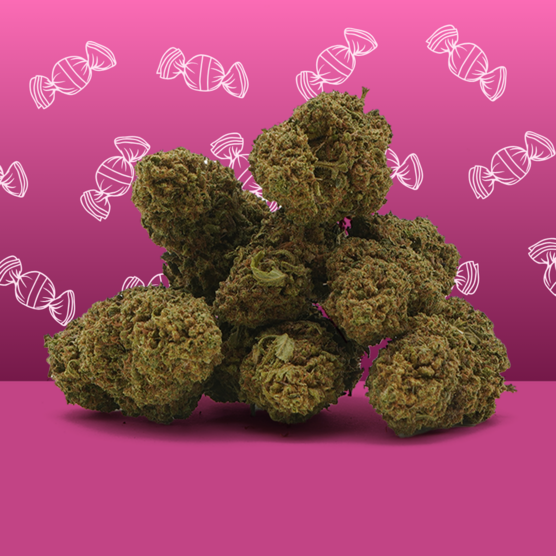 Zkittlez CBD 🍬 [Greenhouse] - Mama Kana - WeWeed