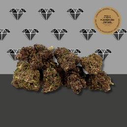 Black Diamond CBD 💎 [Greenhouse] - Mama Kana - WeWeed