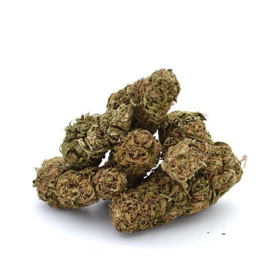 Ganesh 🐘 [Outdoor] - Mama Kana - WeWeed