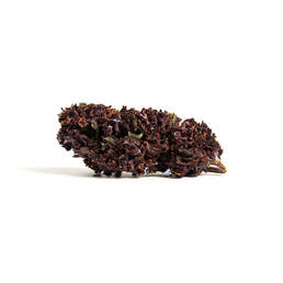Tropicanna Purple (Liquidacion temporada pasada) - IberoHemp - WeWeed