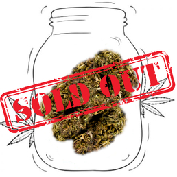 Blue Dream - Sweed - WeWeed