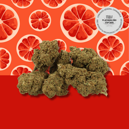 Grapefruit CBD 🟠 [Greenhouse] - Mama Kana - WeWeed
