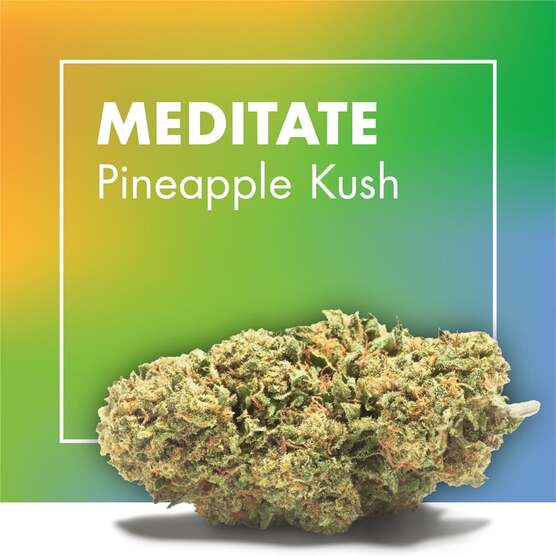 Flores CBD MEDITATE (Pineapple Kush) - Cannactiva - WeWeed