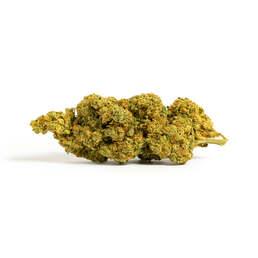 Amnesia interior hidropónico CBD 4 (10g-500g) - IberoHemp - WeWeed