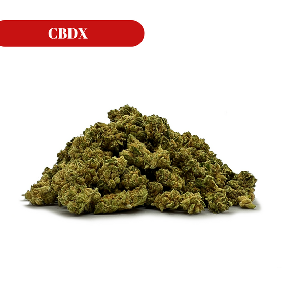 Indoor Small CBDX - La Catalana CBD - WeWeed