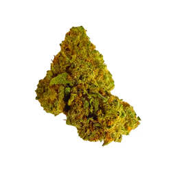 Cogollos Pequeños de Flor Aromática de CBD al 5,75%- La Cordobesa Blueberry - ProfesorCBD - WeWeed