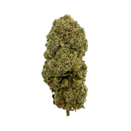 Blueberry Calma - Flower Farm - WeWeed