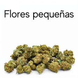 Flores y cogollos CBD pequeños - CBD Organics - WeWeed