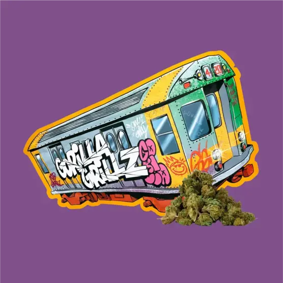 SMALL BUDS | COGOLLOS DE CBD - Gorilla Grillz - WeWeed