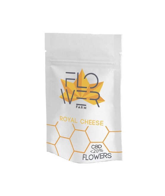Royal Cheese - Flower Farm - WeWeed