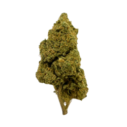 White Melon Calma - Flower Farm - WeWeed