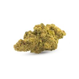Cogollos Mango Haze CBD - CBD Organics - WeWeed
