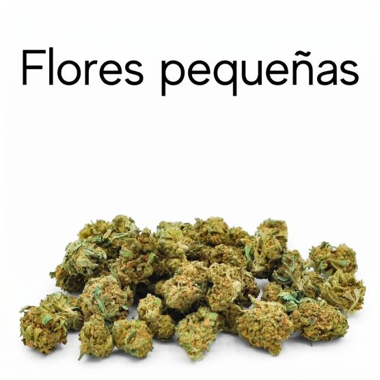 Flores y cogollos CBD pequeños - CBD Organics - WeWeed