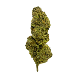 Bubble Gum - Flower Farm - WeWeed