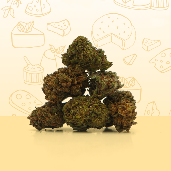 Cheese CBD Small Buds 🧀 - Mama Kana - WeWeed