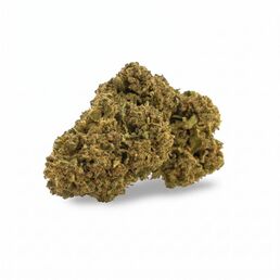 Cogollos Jack Herer CBD - CBD Organics - WeWeed