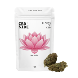 No Rush – Flores CBD Limited Premium - The CBD Side - WeWeed