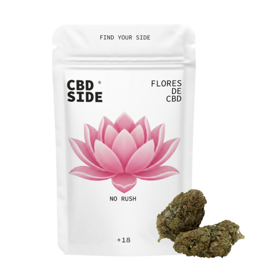 No Rush – Flores CBD Limited Premium - The CBD Side - WeWeed