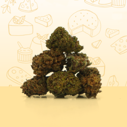 Cheese CBD Small Buds 🧀 - Mama Kana - WeWeed