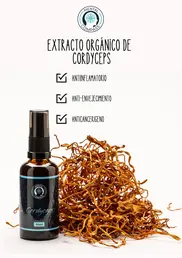 Extracto Orgánico de Cordyceps - Iguana Smoke CBD - WeWeed