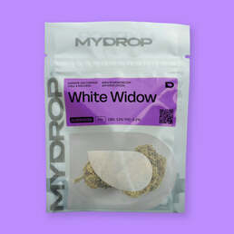 White Widow - MYDROP CBD - WeWeed