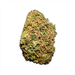 Cogollos Pequeños de Flor Aromática de CBD al 11,52% - La Cordobesa Orange Indoor - ProfesorCBD - WeWeed