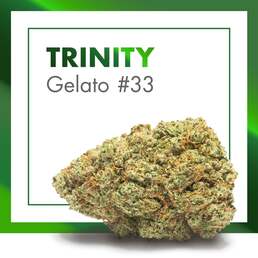 Flores de CBD TRINITY (Gelato #33) | CBD INDOOR - Cannactiva - WeWeed
