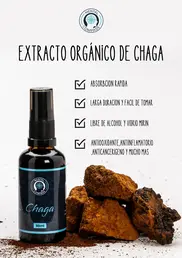 Extracto Orgánico de Chaga - Iguana Smoke CBD - WeWeed