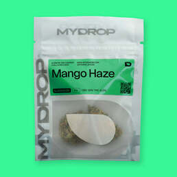 Mango Haze - MYDROP CBD - WeWeed