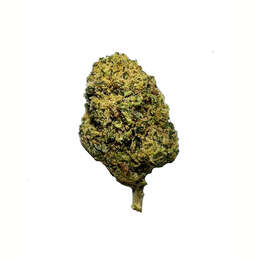 Cogollos Pequeños de Flor Aromática de CBD - La Cordobesa Candy Kush Pop - ProfesorCBD - WeWeed