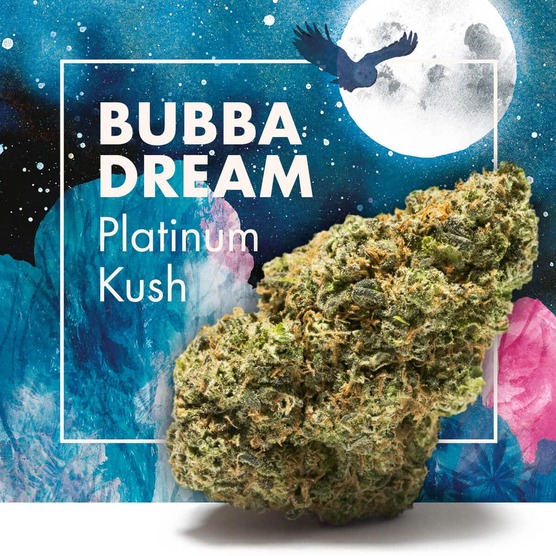 Flores CBD BUBBA DREAM (Platinum Kush) | CBD INDOOR - Cannactiva - WeWeed