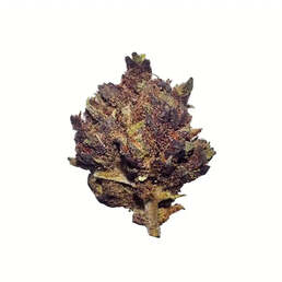 Cogollos Pequeños de Flor Aromática de CBD al 2,17%- La Cordobesa Black Panther - ProfesorCBD - WeWeed