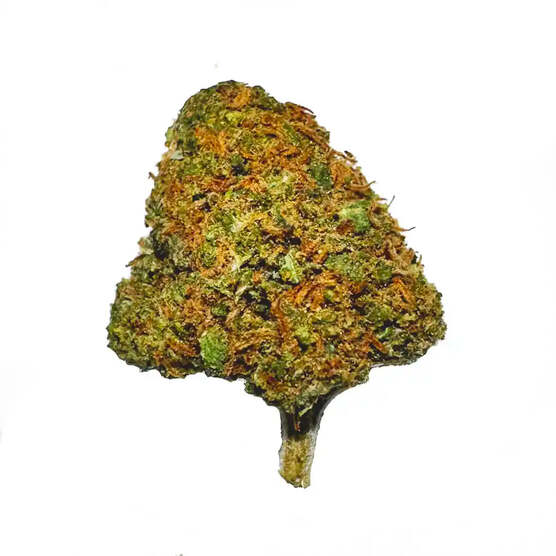 Cogollos Pequeños de Flor Aromática de CBD - La Cordobesa Durban Poison Pop - ProfesorCBD - WeWeed