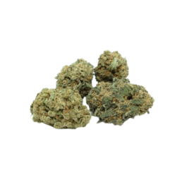 Harlequin - Sweed - WeWeed