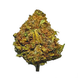 Cogollos Pequeños de Flor Aromática al 16,68% de CBD - La Cordobesa Tutti Frutti Mix - ProfesorCBD - WeWeed