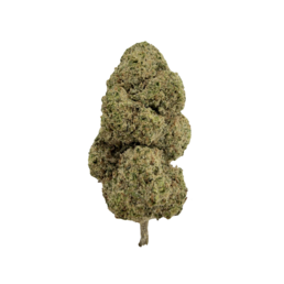 AK-47 Calma - Flower Farm - WeWeed