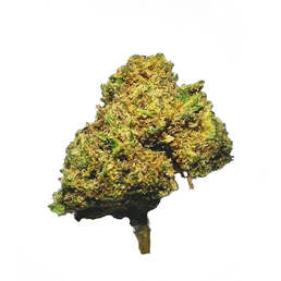 Cogollos Pequeños de Flor Aromática de CBD al 12,47%- La Cordobesa Cannatonic - ProfesorCBD - WeWeed