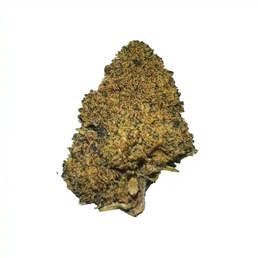 Cogollos Pequeños de Flor Aromática de CBD al 3,15% - La Cordobesa Sour Diesel - ProfesorCBD - WeWeed