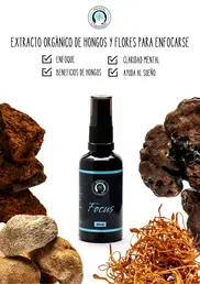 Extracto Orgánico de Hongos Focus - Iguana Smoke CBD - WeWeed