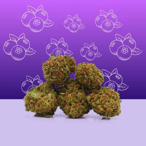 Blueberry CBD 🍇 [Greenhouse] - Mama Kana - WeWeed