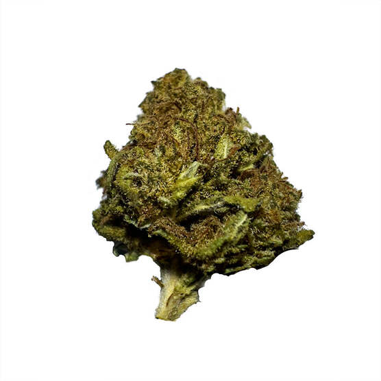 Cogollos Pequeños de Flor Aromática de CBD - La Cordobesa Therapy Greenhouse - ProfesorCBD - WeWeed