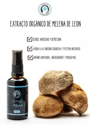 Extracto Orgánico de Melena de León - Iguana Smoke CBD - WeWeed