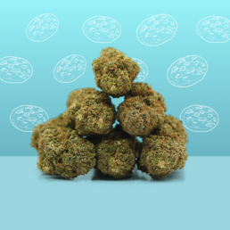 Cookie Kush CBD 🍪 [Indoor] - Mama Kana - WeWeed