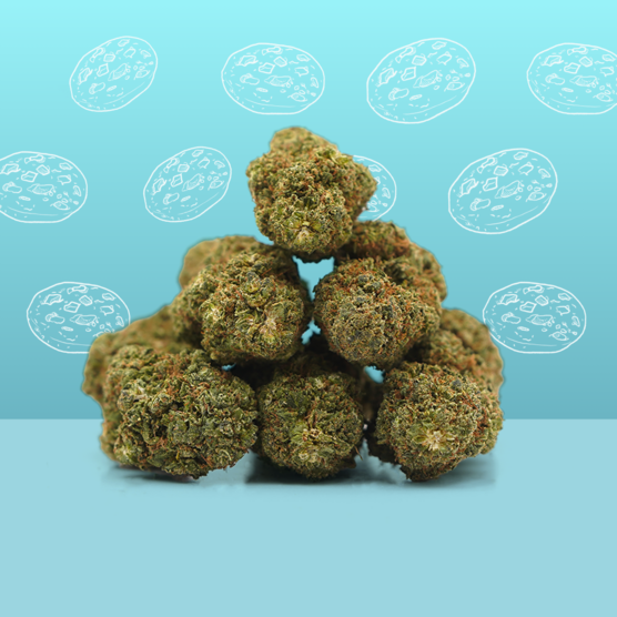 Cookie Kush CBD 🍪 [Indoor] - Mama Kana - WeWeed