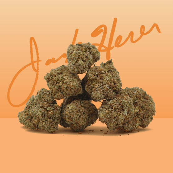 Jack Herer CBD 🧔🏻 [Greenhouse] - Mama Kana - WeWeed